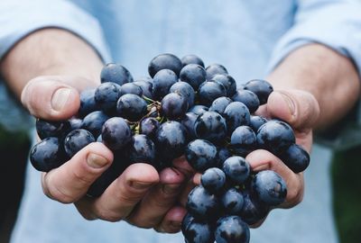 Nutritie: De ce se recomanda strugurii negrii pentru consum