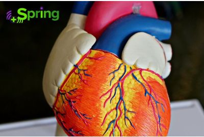 Pulsul cardiac: Factori care influenteaza valorile acestuia
