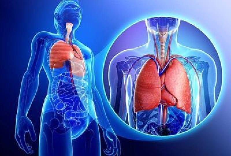 Cum sa folosesti corect remediile naturiste pentru prevenirea infectiilor