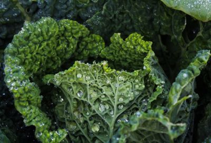 Varza kale: leguma care poate impiedica aparitia celulelor canceroase