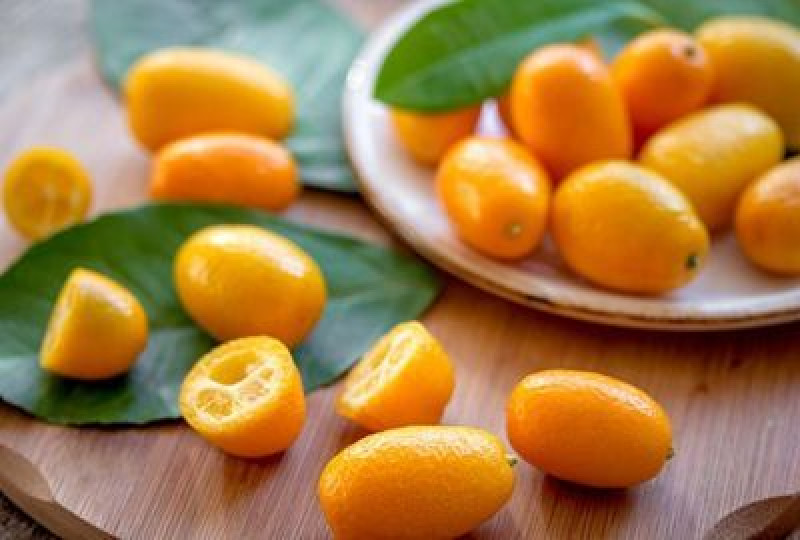 Kumquat: Fructul care mentine sanatatea sistemului digestiv