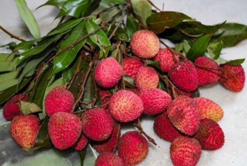 Litchi: Un fruct exotic cu multiple beneficii  pentru organism și igiena pielii