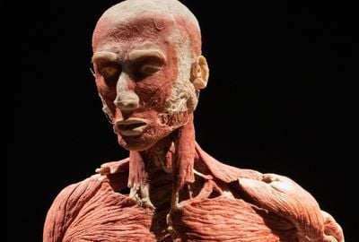 Anatomie: Ce muschi sunt in zona umarului?