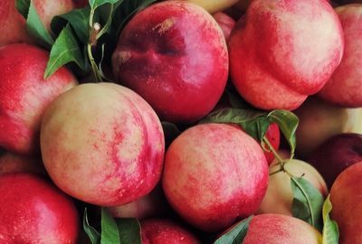Nutritie: De ce e important sa introducem nectarine in dieta