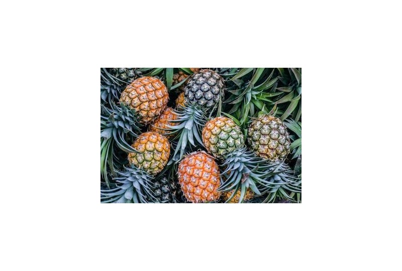 Bromelaina: O enzima din ananas cu multiple beneficii pentru sanatate