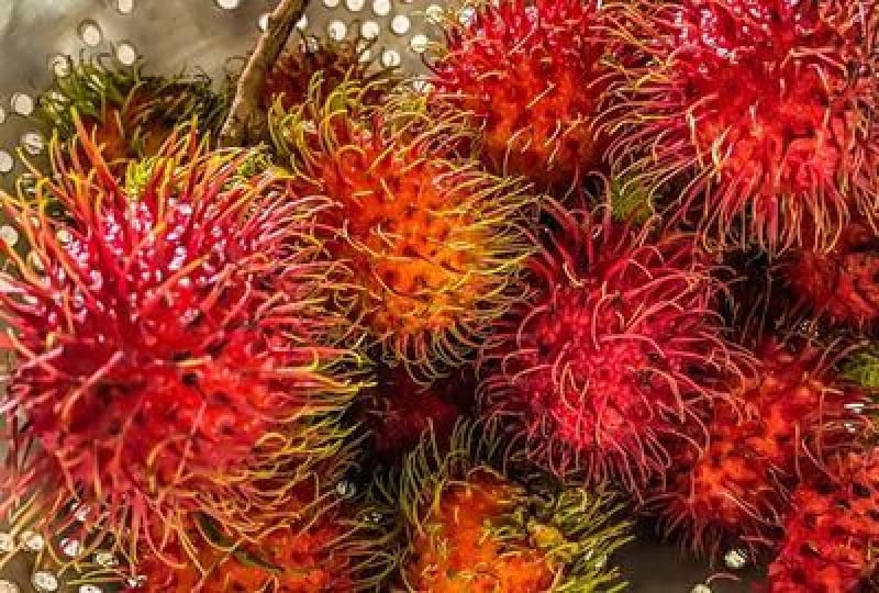 Rambutan: Un fruct din Asia cu multiple beneficii pentru organism