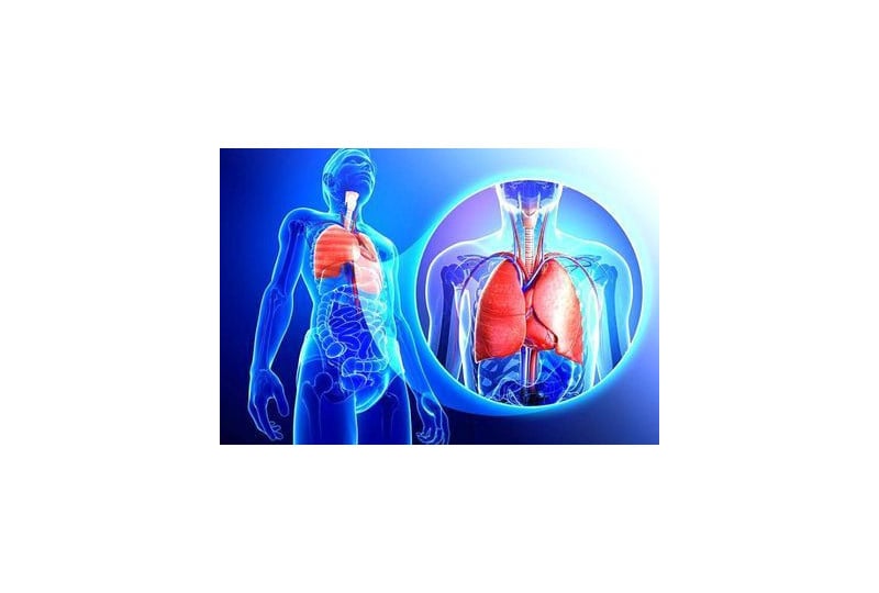 Sistemul respirator: De ce avem nevoie de trahee, care sunt bolile asociate