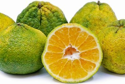 Jamaican Tangelo: Un fruct hibrid, bogat in Vitamina C si antioxidanti