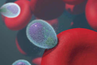 Enterobiaza: Ce este si cand se recomanda aceasta investigatie medicala