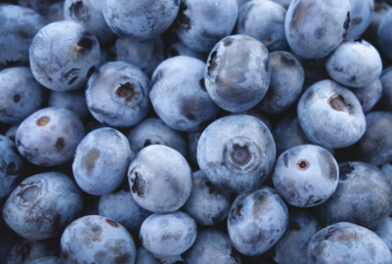 Nutritie: De ce sa consumi afine uscate, cum sa le folosesti corect
