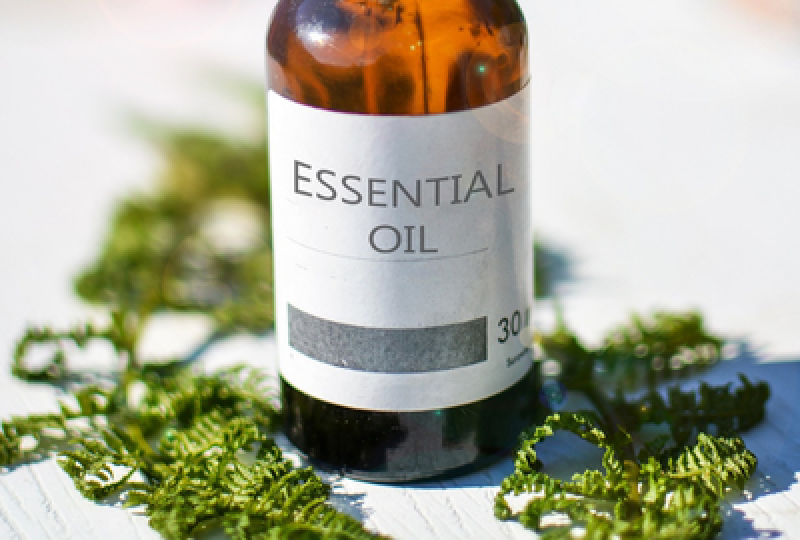 Uleiul de Copaiba: un ulei antiinflamator, cicatrizant si expectorant. Cum trebuie folosit