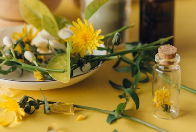 Intarirea imunitatii: Plante medicinale care te ajuta sa scapi de gripa si raceala