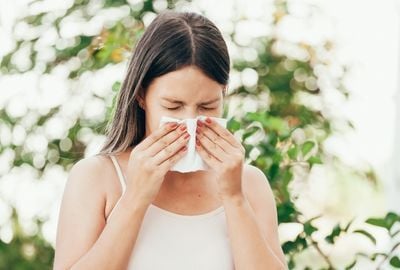 Alergiile: Simptome, tipuri de alergii, tipuri de tratament