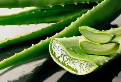 Aloe vera: proprietati si beneficii pentru sanatate