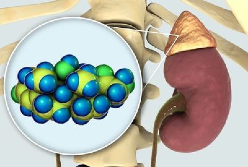 Colecistita: Cum apare boala, metode de preventie