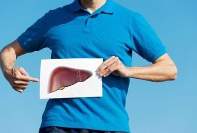FICATUL - Inginerul alimentar al organismului uman