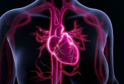 Fibrilatia atriala: Simptome ale bolii, preventie si tratament