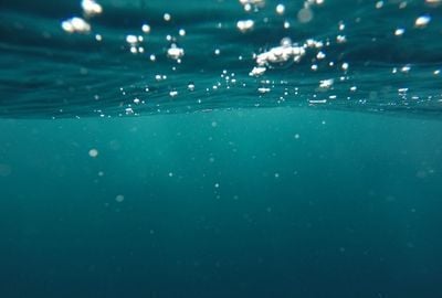 Secretele vindecatoare ale Oceanului Planetar