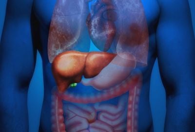 Steatoza hepatica sau ficatul gras: Cum apare, simptome, tratament