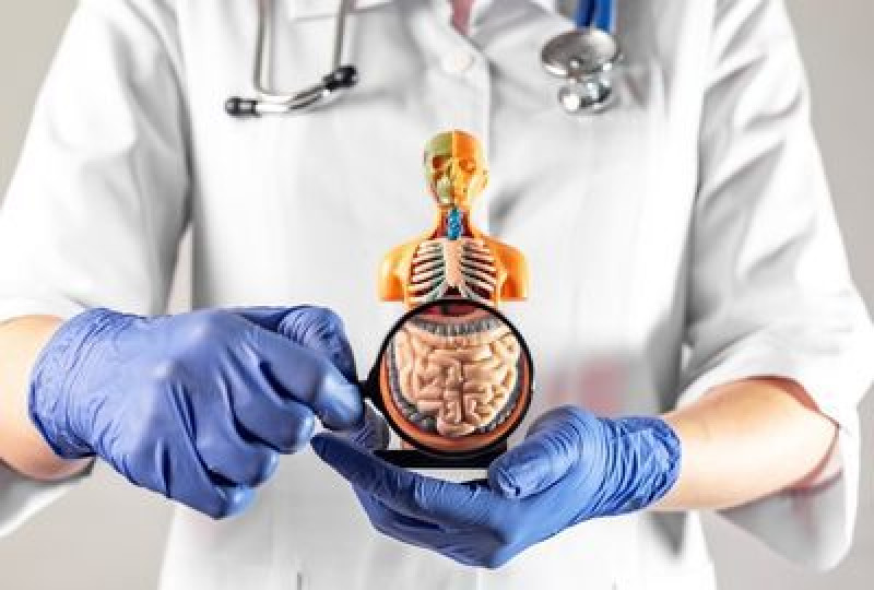Tratament pentru refacerea florei intestinale