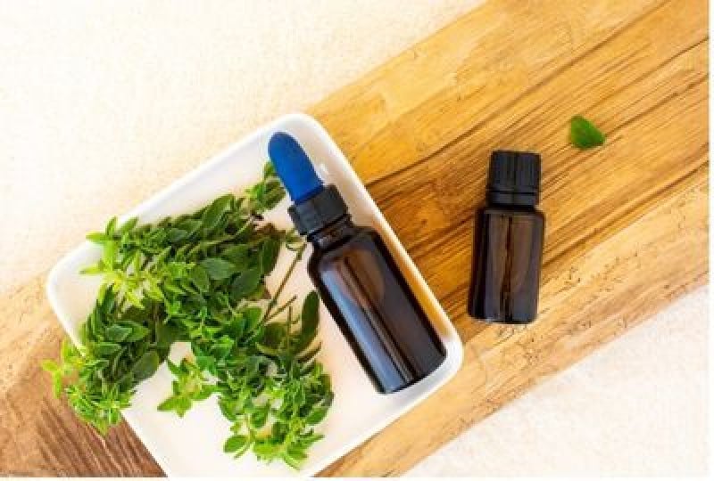 Uleiul de oregano salbatic, un antibiotic natural