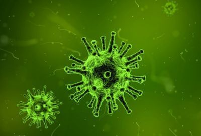 Virusul Marburg: Mortalitate, moduri de transmitere, cum se poate evita
