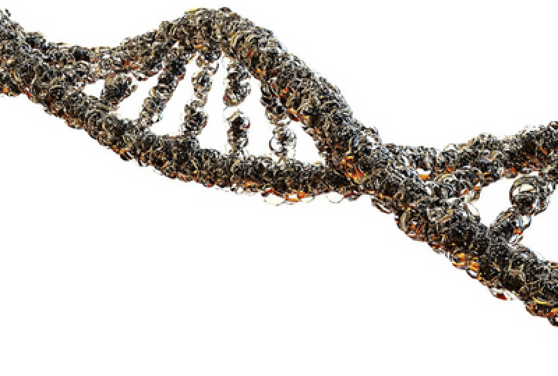 Boala Hartnup: O afectiune genetica rara care afecteaza absorbtia aminoacizilor