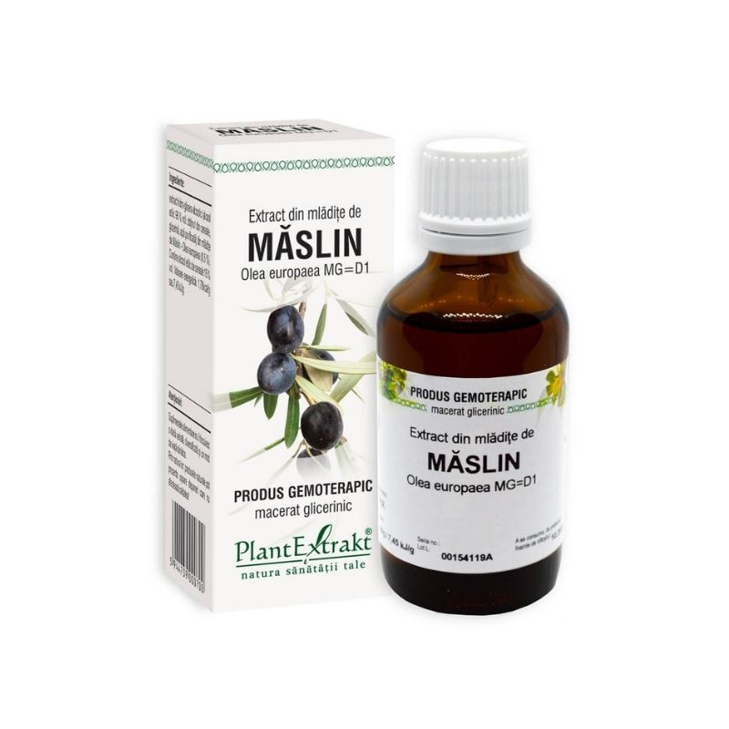 Extract din mladite de MASLIN, 50 ml Controlul diabetului 2023-09-22