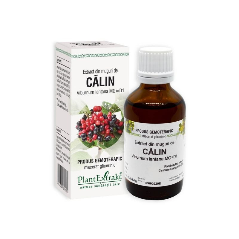 Extract din muguri de CALIN, 50 ml ORL 2023-09-24