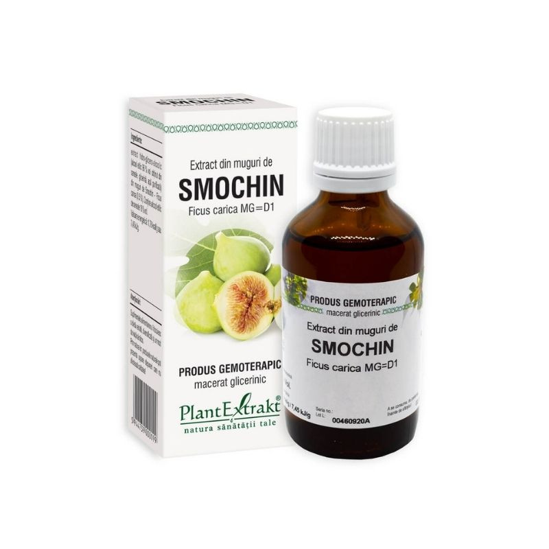 Extract din muguri de SMOCHIN, 50 ml Digestie sanatoasa
