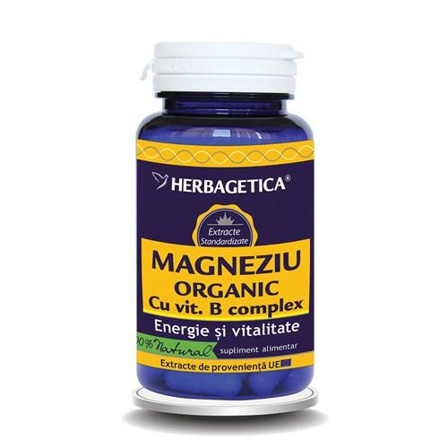 Magneziu organic cu vitamina B complex, 60 capsule, Herbagetica capsule imagine teramed.ro