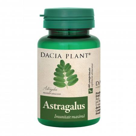 Dacia Plant Astragalus, 60 cpr. Astragalus