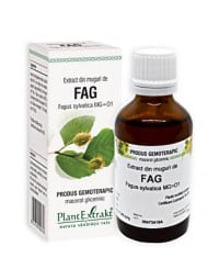 PLE Extract din muguri de fag, sanatatea rinichilor, 50 ml