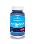 Articular Stem, 30 capsule, Herbagetica