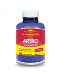 Artro Curcumin 95, 120 capsule, Herbagetica