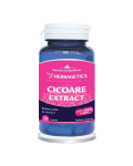 Cicoare Extract, 30 capsule, Herbagetica