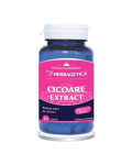 Cicoare Extract, 60 capsule, Herbagetica