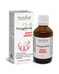 Polygemma 21, Dinti, gingii, 50 ml, Plant Extrakt