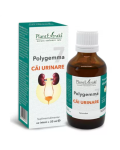 Polygemma 7 Cai Urinare, 50 ml, Plant Extrakt