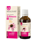 Tinctura de Echinacea fara alcool, 50 ml, Dacia Plant