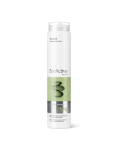 Sampon profesional Purificator Zen Active Z12b, 250ml, Erayba