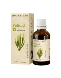 DACIA PLANT Tinctura pedicuta, 50 ml