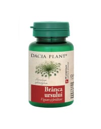 Dacia Plant Branca ursului, 60 capsule