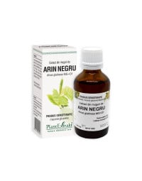 Plant Extrakt Muguri de arin negru, 50 ml