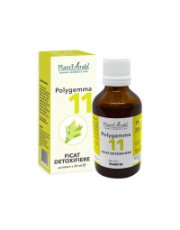 POLYGEMMA nr.11 Ficat, 50 ml