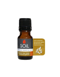 SOiL Ulei Esential Arbore de Ceai Lamaios, 10ml  