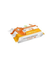 Dr. Wipes Servetele umede ANTIBACTERIAN FAMILY CARE, 72 bucati