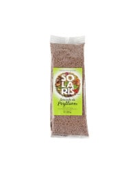 Seminte de psyllium SOLARIS 100g