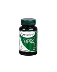DVR Pharm Ciuperca tibetana, 60 capsule