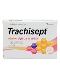 Trachisept miere & fructe padure x 16 cpr.    OZ